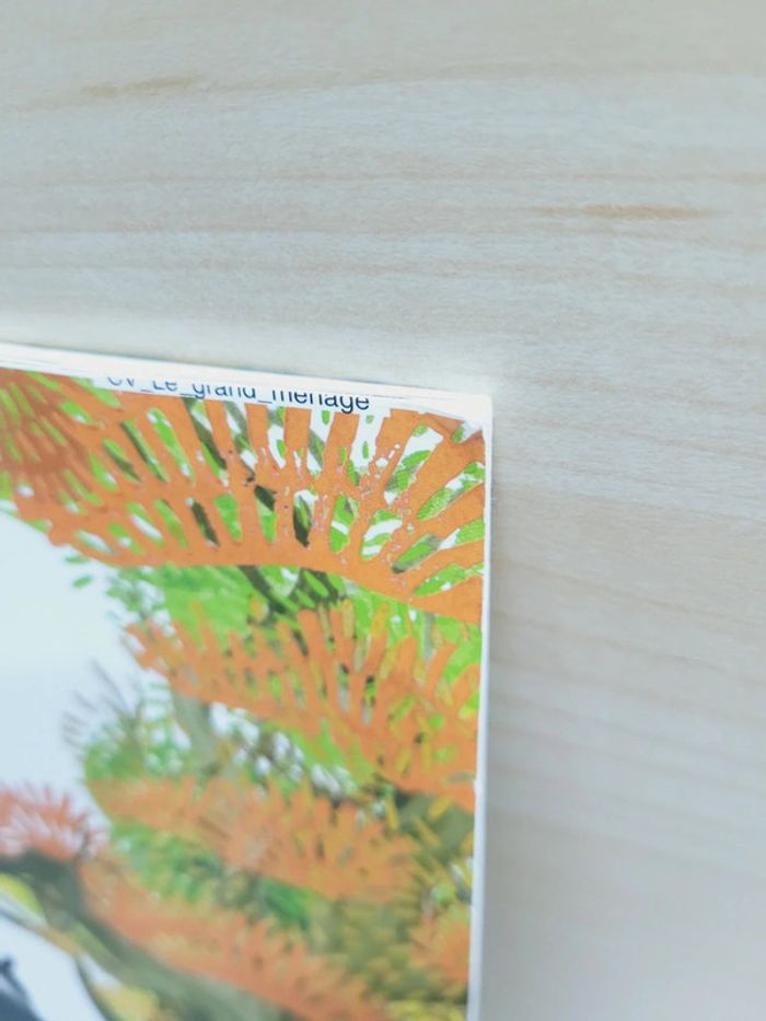 🌺 Livre (école des loisirs) : Le grand ménage - photo numéro 10