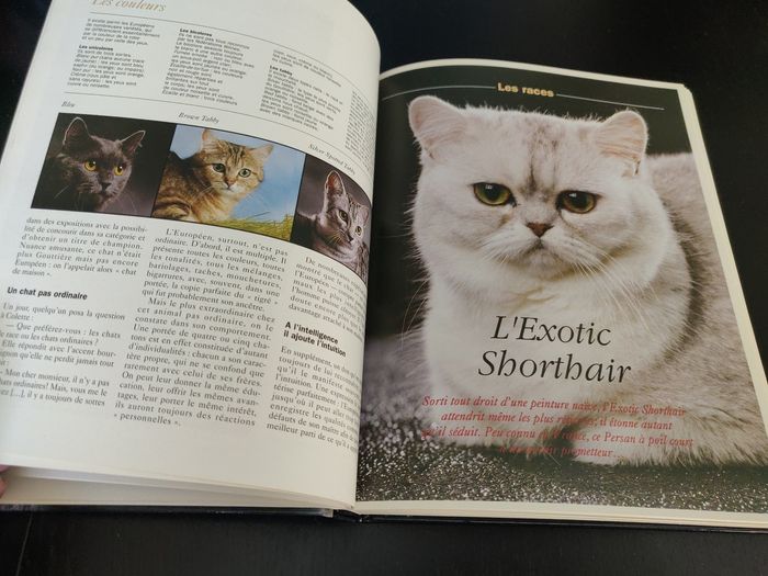 Livre 238 pages - Les chats de Race - photo numéro 6
