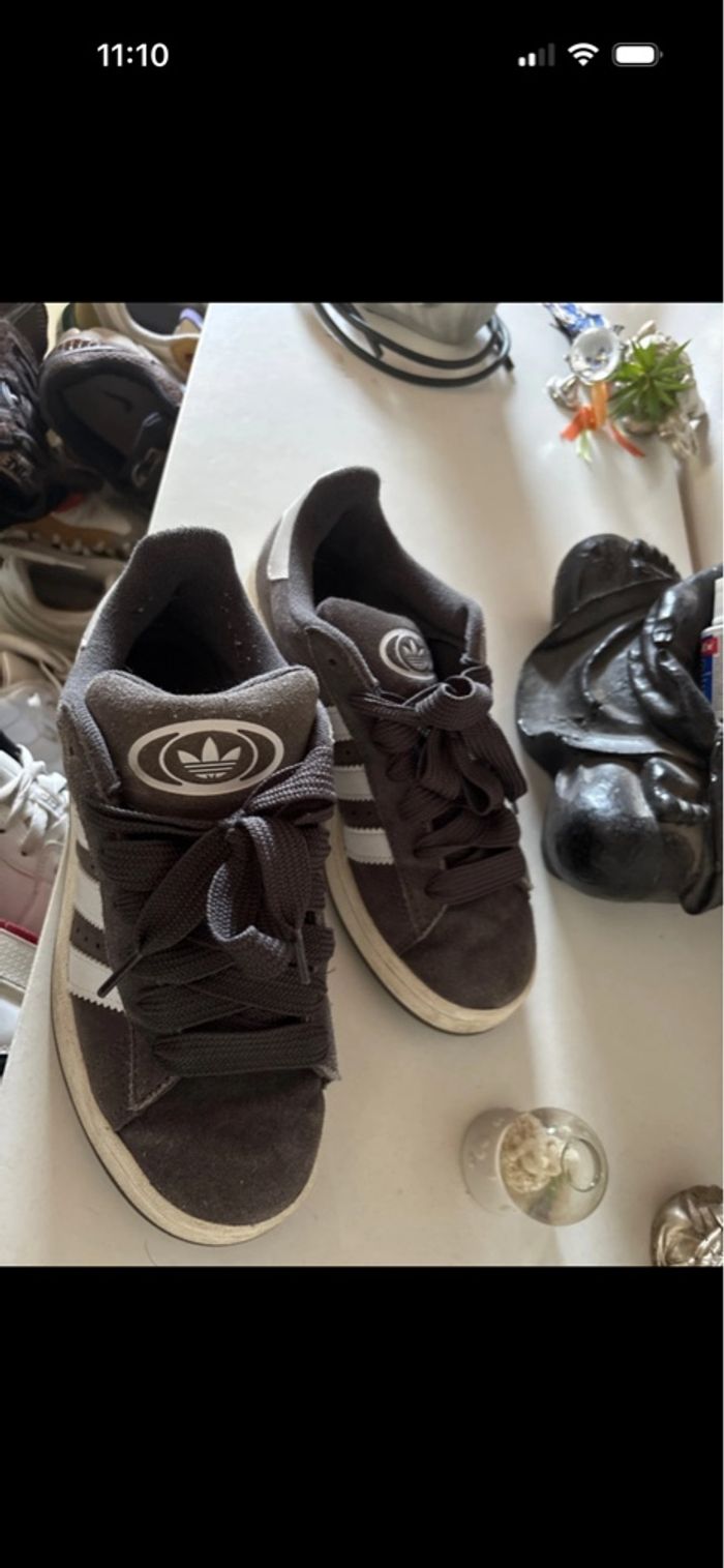 Basket adidas campus