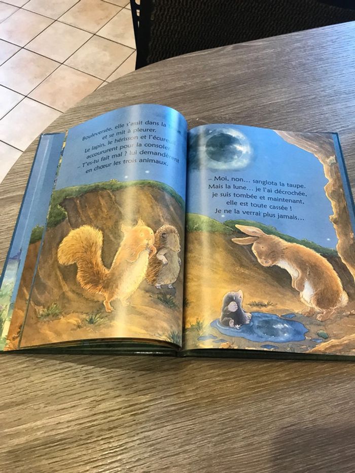Livre une taupe au clair de lune - photo numéro 3