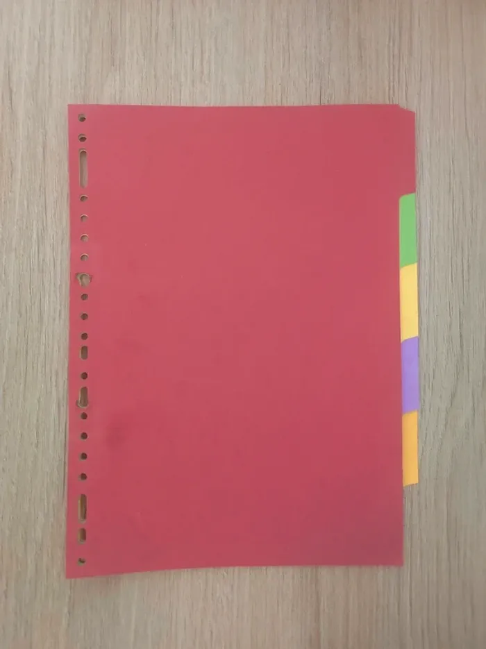 Lot 5 intercalaires carton / Lyreco - A4 Maxi