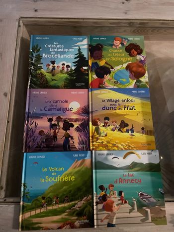 Lot de 6 livres Merveilles en France