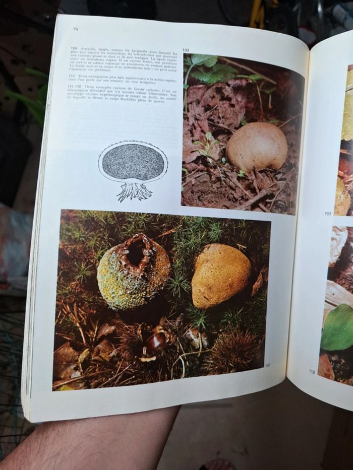 Les champignons Édition Atlas spécial grande encyclopédie Atlas de la médecine - photo numéro 3