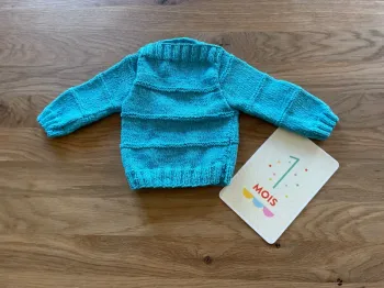 Pull 1 mois