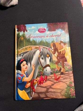 Livre pour enfants Disney princesses à cheval