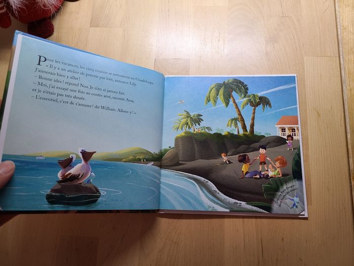 Le volcan de la soufrière - photo numéro 8