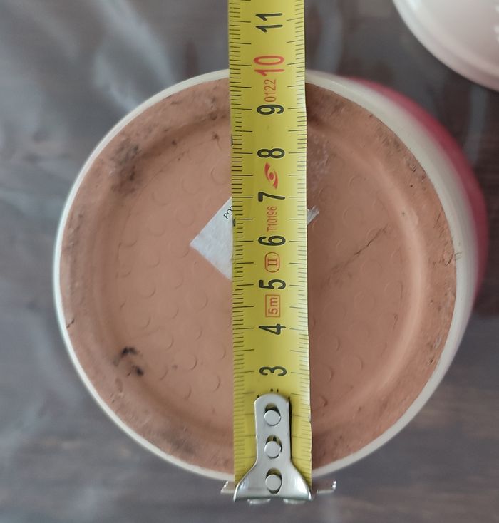 Cache pot - photo numéro 6