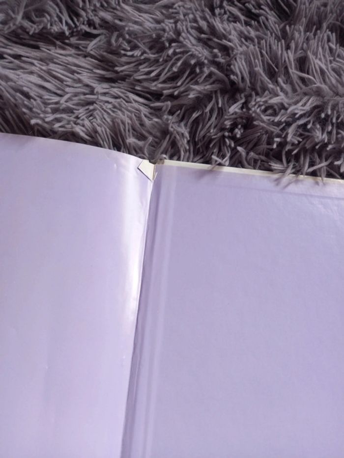 🎁 A donner ! Lot de 2 livres créations "petites mains" - photo numéro 4