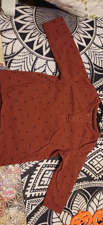Pull animaux