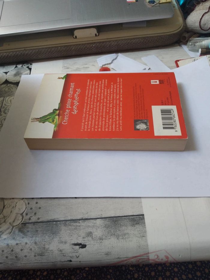 Cherche prince charmant désespérément - photo numéro 3