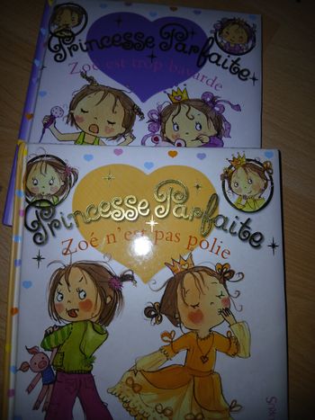 Lot princesse parfaite