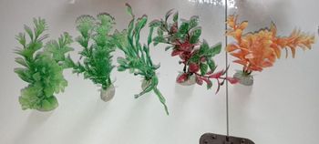 Déco aquarium