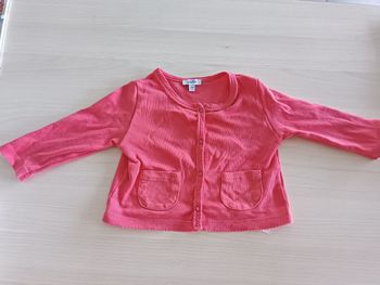 Gilet rose absorba 9 mois
