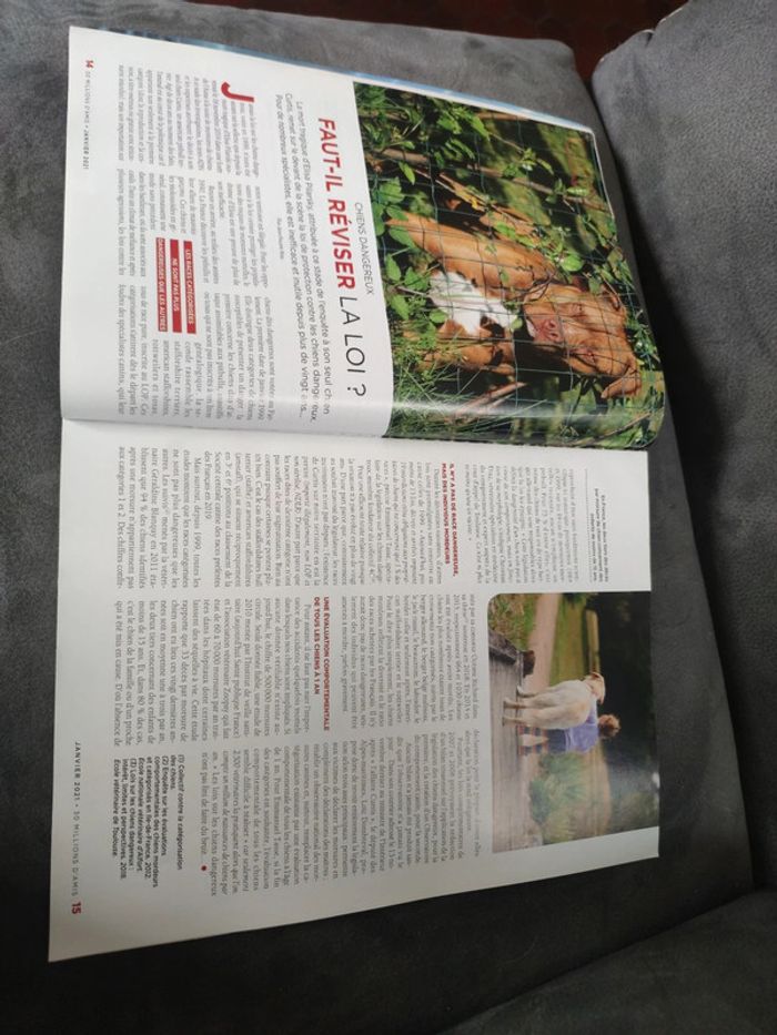 Magazine 30 millions d'amis numéro 391 janvier 2021 - photo numéro 4