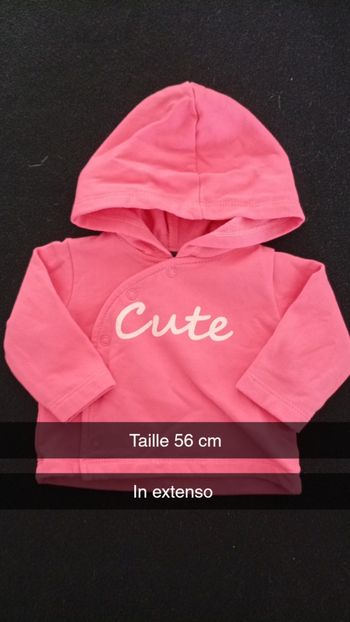 Veste