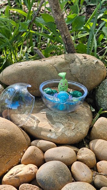 Super figurine Pokemon Nintendo style terrarium Germignon axoloto
