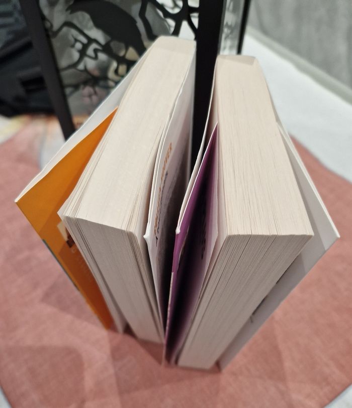 Jamais plus et À tout jamais de Colleen Hoover - photo numéro 3