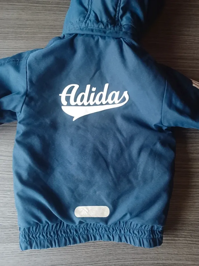 Manteau - photo numéro 4