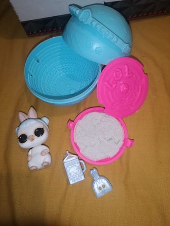 Lol animal pets lapin