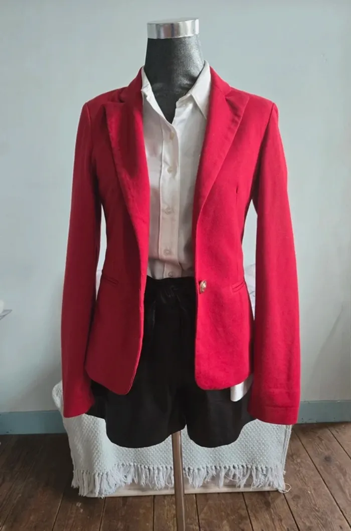 Blazer Jms millénium. - photo numéro 2
