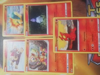Lot  cartes pokemon