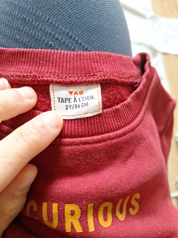 Sweat be curious - photo numéro 4