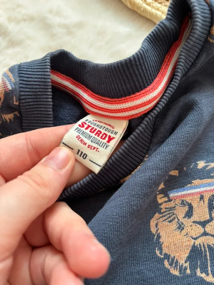 Pull Lion - photo numéro 2