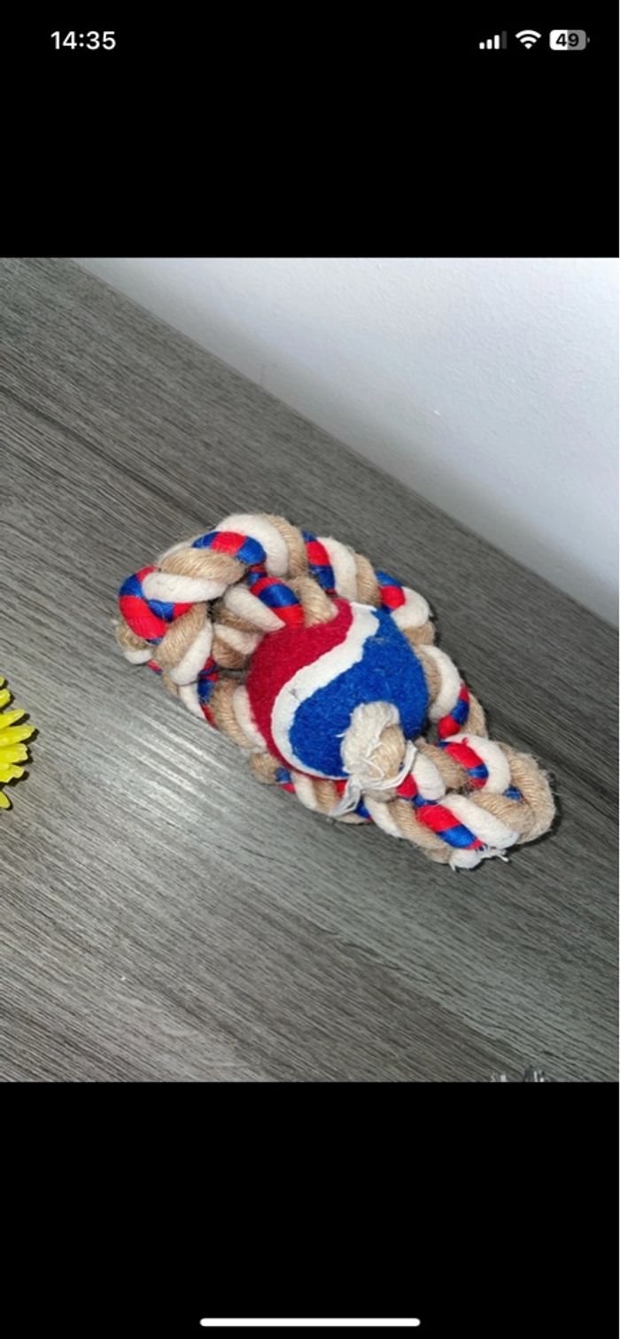 Lots jouets chien x4 - photo numéro 2