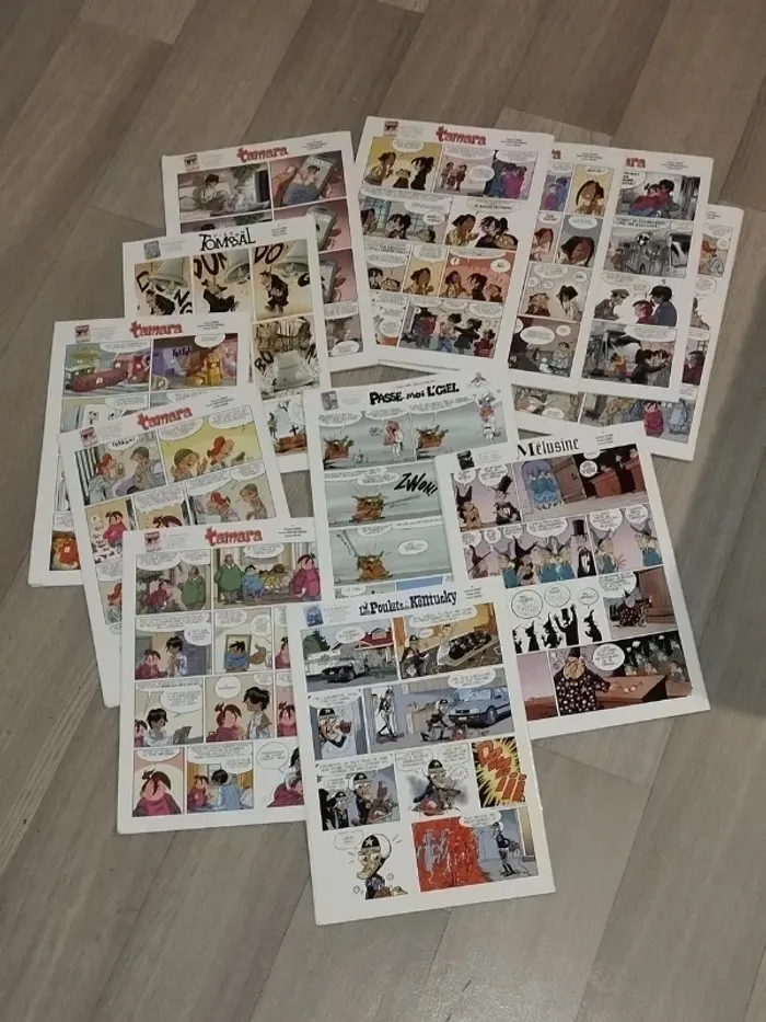 Lot de 12 magazines SPIROU année 2010 L003 - photo numéro 4