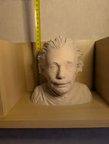 Buste Albert Einstein - Figurine science 3D