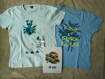 Lot de 2 tee-shirts garçon 10 ans (n°37)