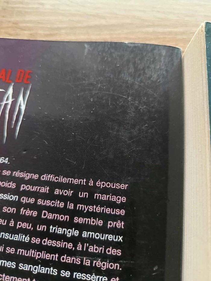 Livres vampire diaries - photo numéro 4