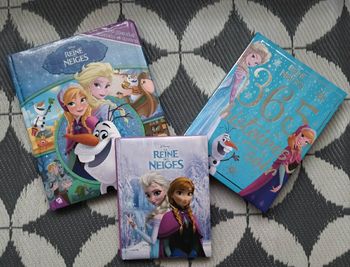 Livres reine des neiges