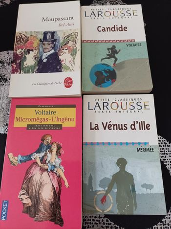Lot de 4 livres scolaires - Littérature classique