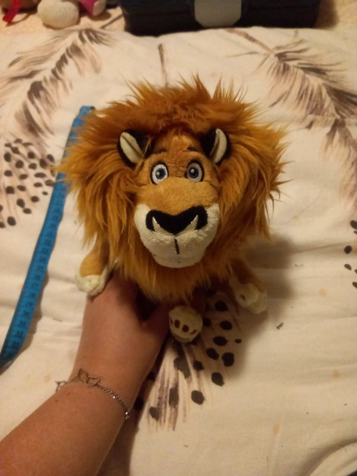 Lion de Madagascar 3 - photo numéro 2