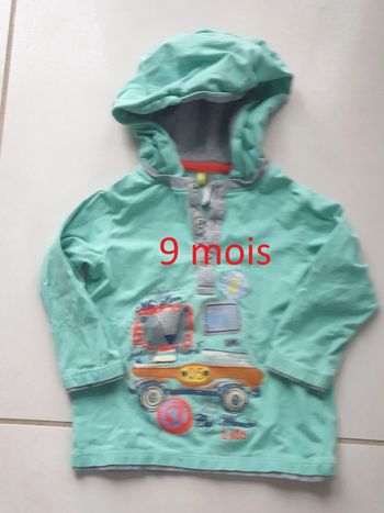 1 t-shirt manche longue avec capuche vert  marque orchestra 9 mois