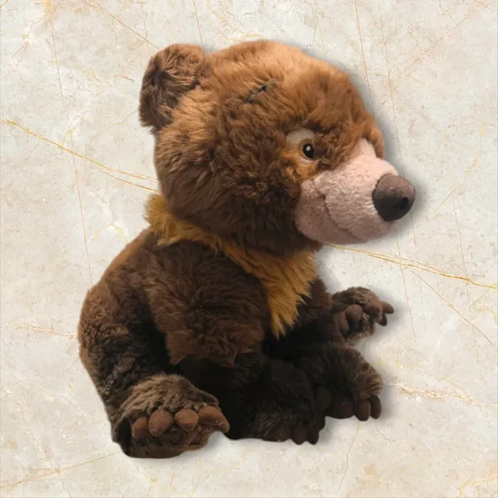 Peluche frère des ours 🐻"Kinai" Disneyland Paris