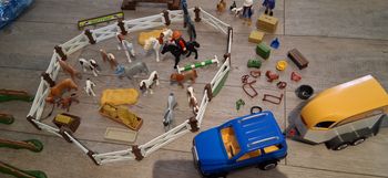 Playmobil centre équestre 