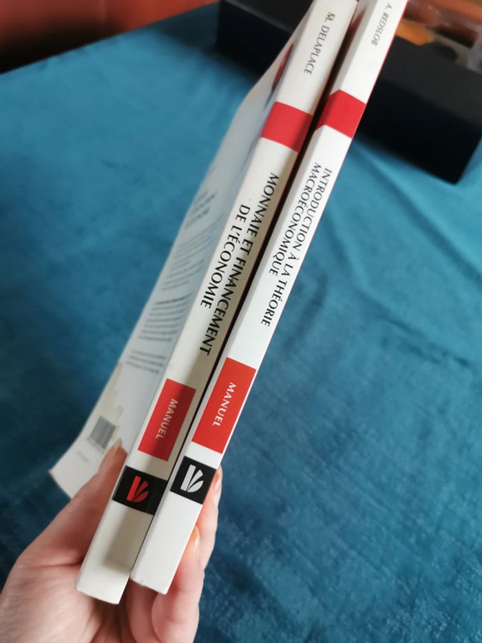 Lot de 2 manuels éd. Dunod Monnaie et financement de l'économie et la théorie macroéconomique - photo numéro 10