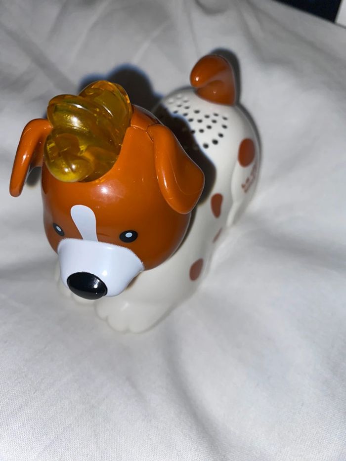 Tut tut animo, chien - photo numéro 2