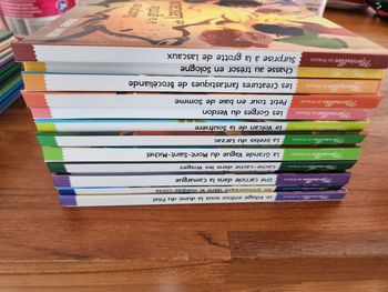 Lot de 14 livres enfant :