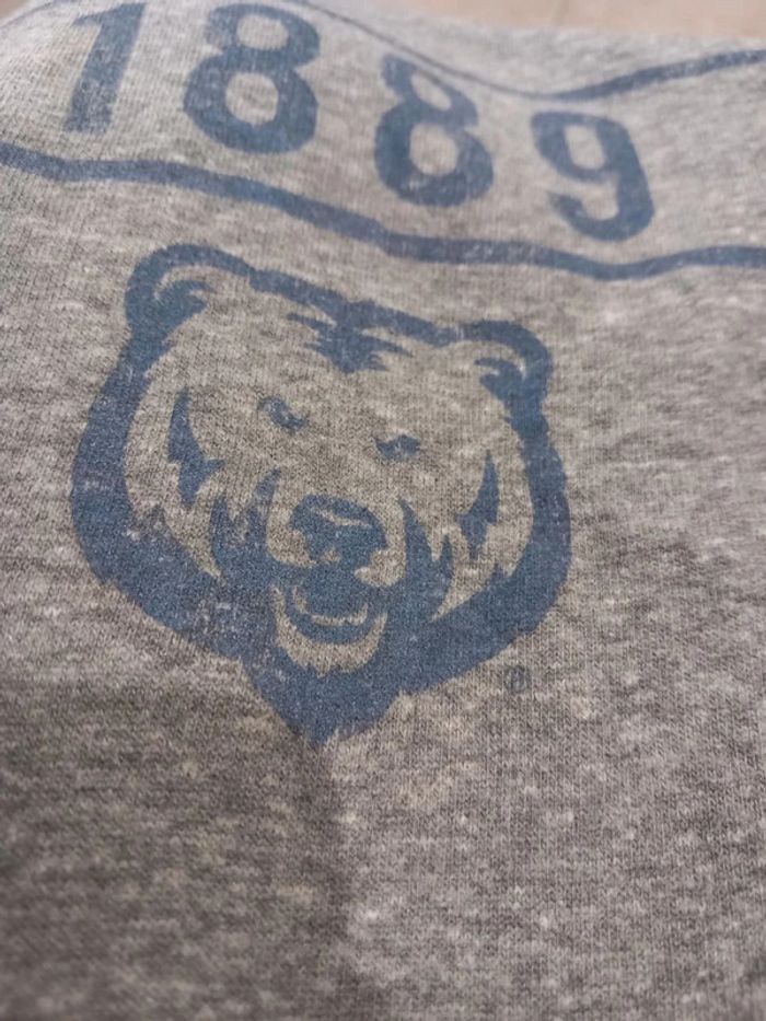 Pull/Sweat vintage Imprimé Colorado Gris Bleu - photo numéro 4