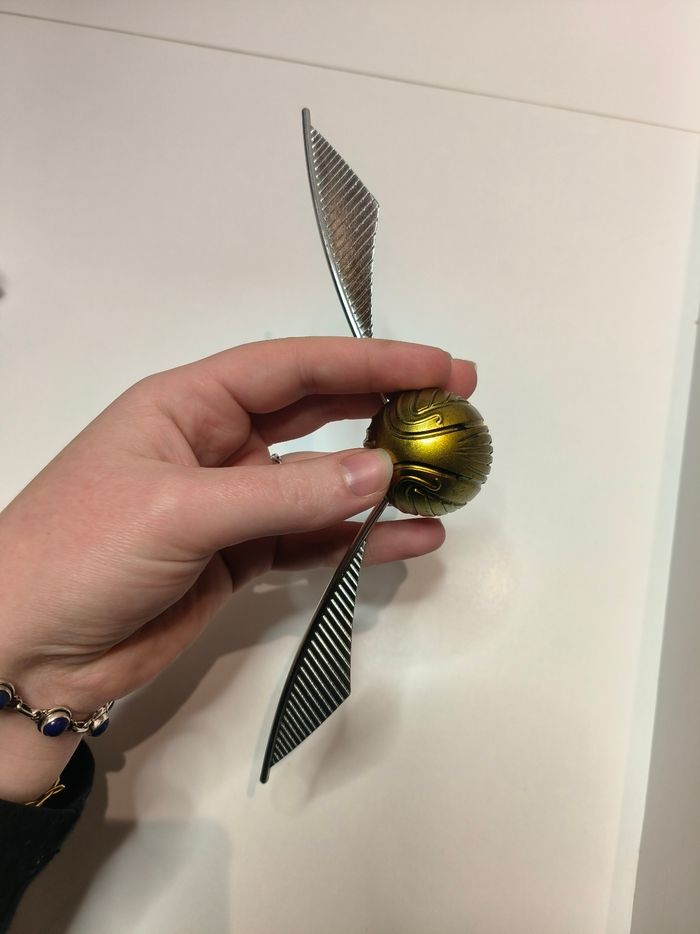 Vif d'or Harry Potter - photo numéro 7