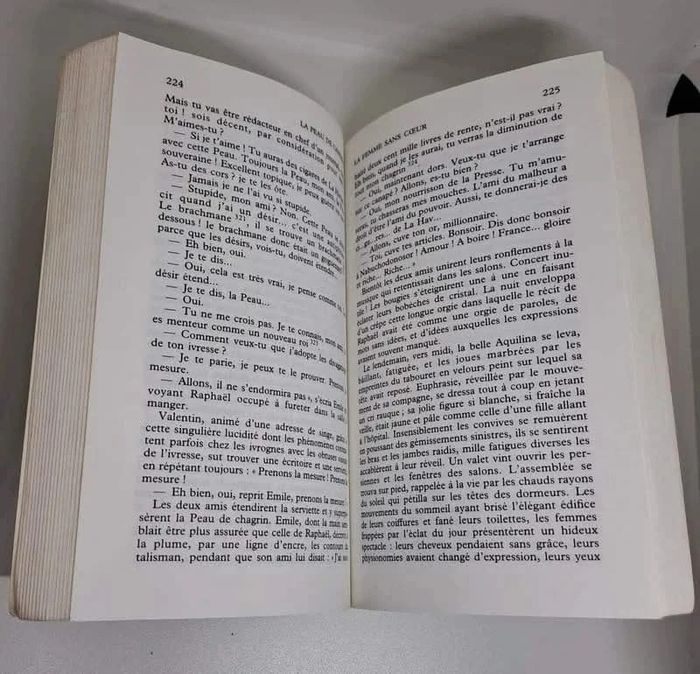 "La peau de chagrin", de Balzac.
GF-Flammarion.
416 pages.
ISBN : 2.08.070899.6 - photo numéro 2