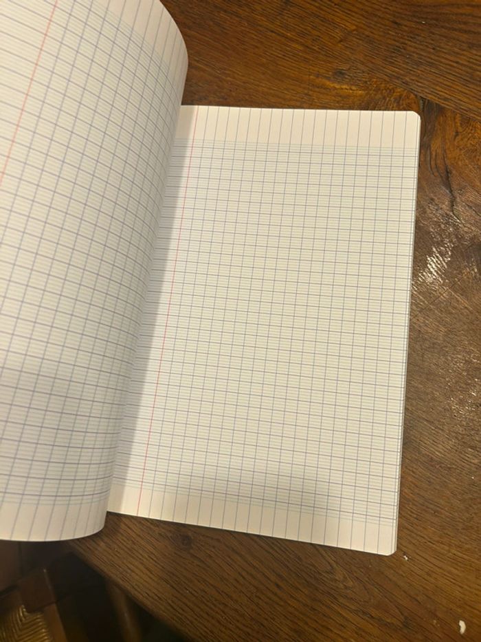 Cahier Oxford - photo numéro 2