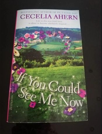 Roman en anglais "if you could see me now"