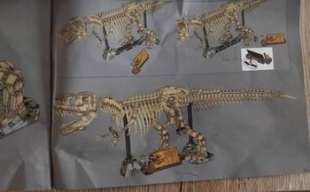 Les fossiles de dinosaures : le Tyrannosaurus rex a construire type lego