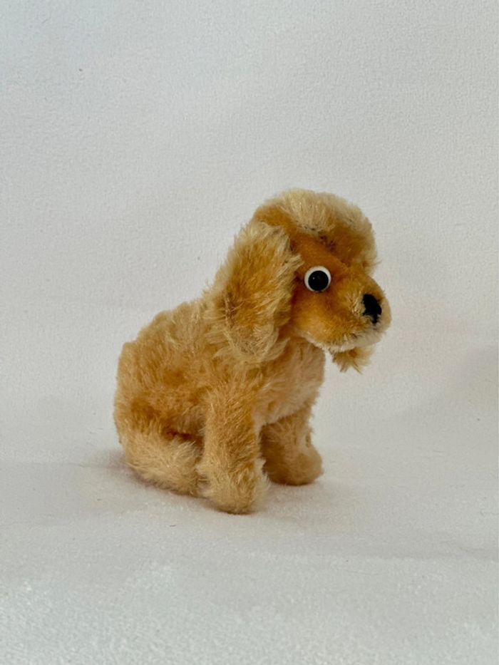 Cocker Steiff - photo numéro 2