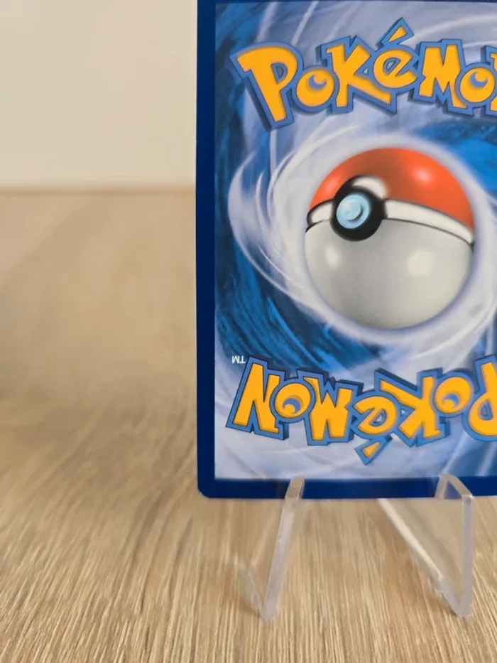 Moumouflon V SWSH049 - photo numéro 10