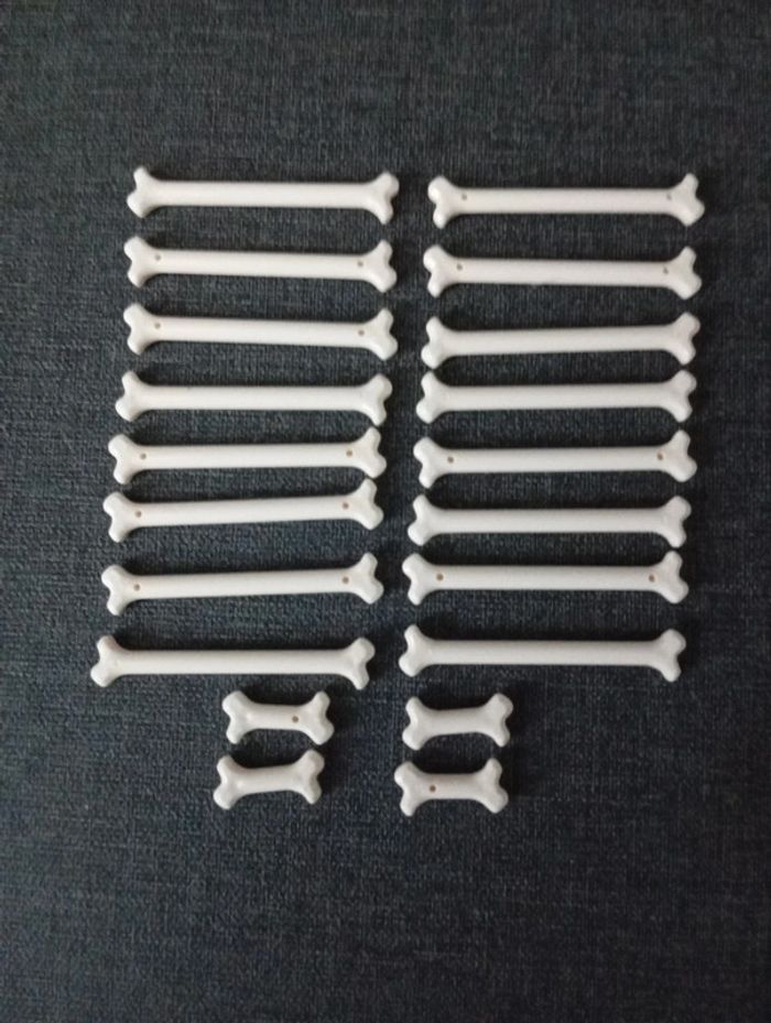 16 bone long 4 bone court